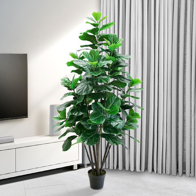 Ficus Lyrata Tree - Искусственное тропическое дерево Фикус Лирата, 35-150