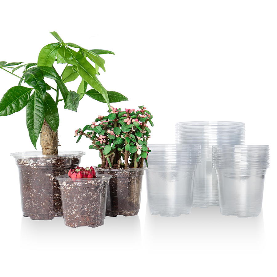 Aloe Vera Pot - 30 упаковок прозрачных детских горшков 3,5/4/5