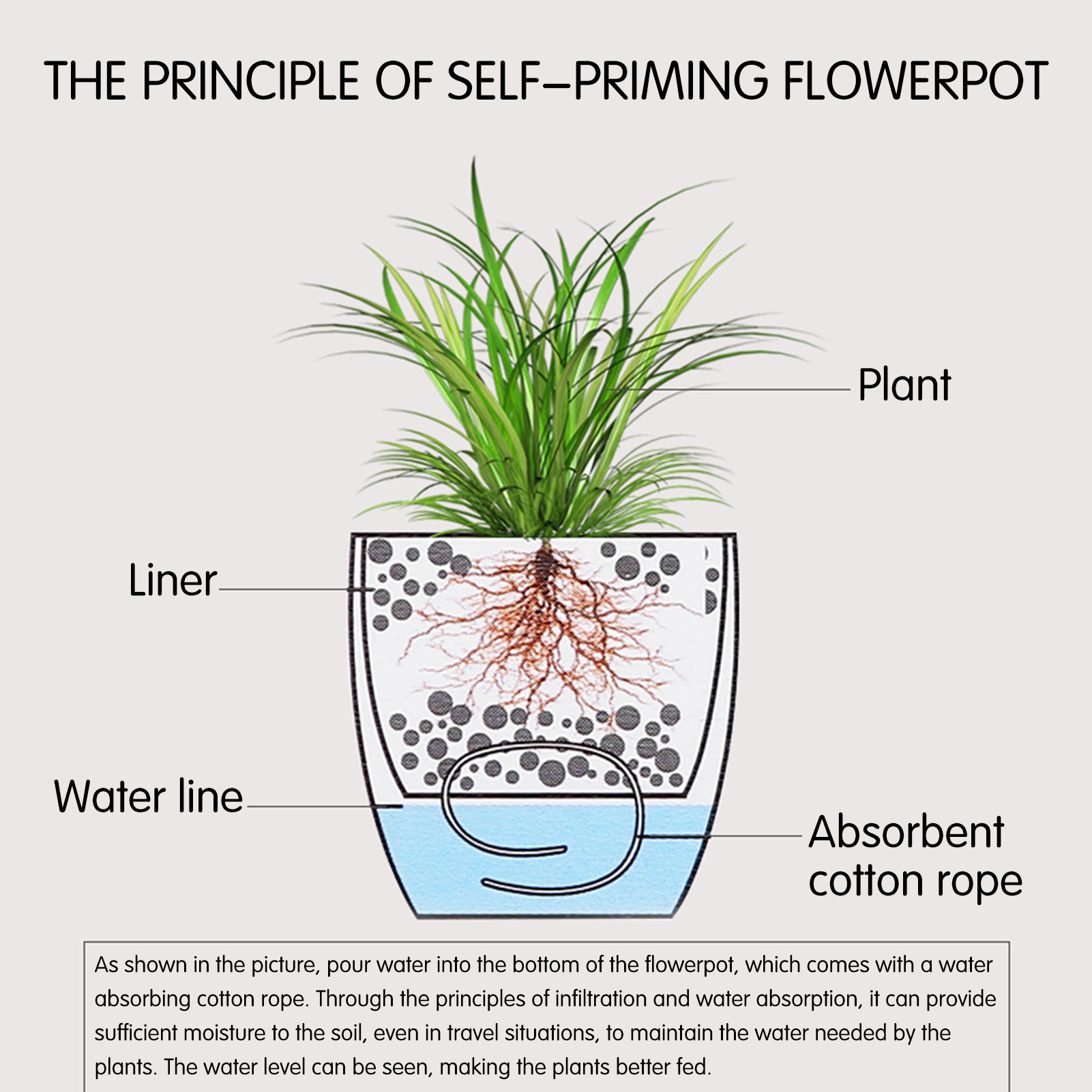 Автоматический самополивающийс – обзор и цена Aloe Vera Pot