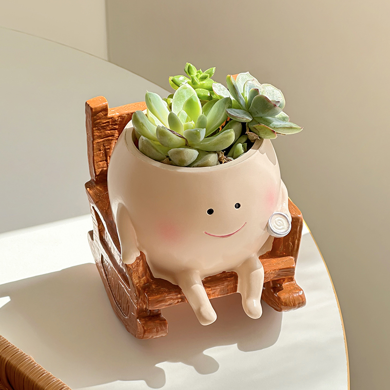 Стильный милый мультяшный горш – обзор и цена Echeveria Succulent