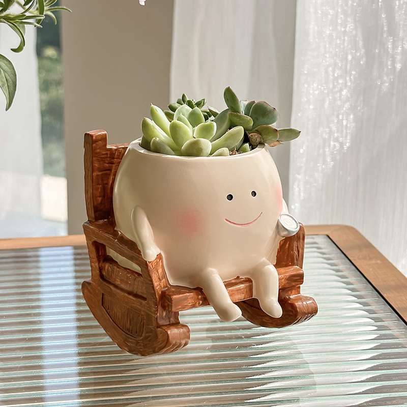 Стильный милый мультяшный горш – обзор и цена Echeveria Succulent
