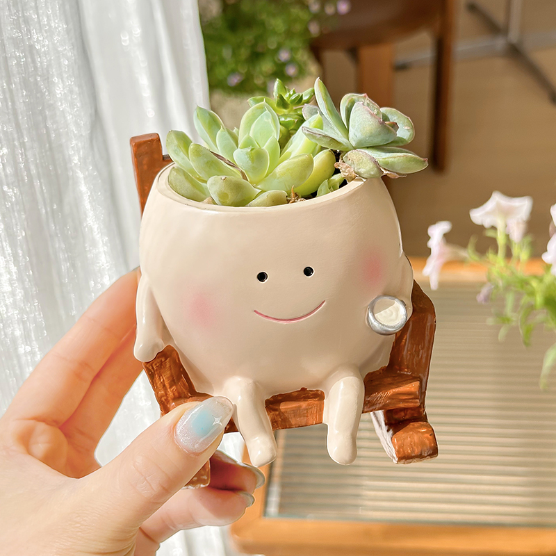 Стильный милый мультяшный горш – обзор и цена Echeveria Succulent