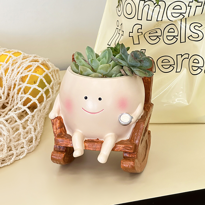Стильный милый мультяшный горш – обзор и цена Echeveria Succulent