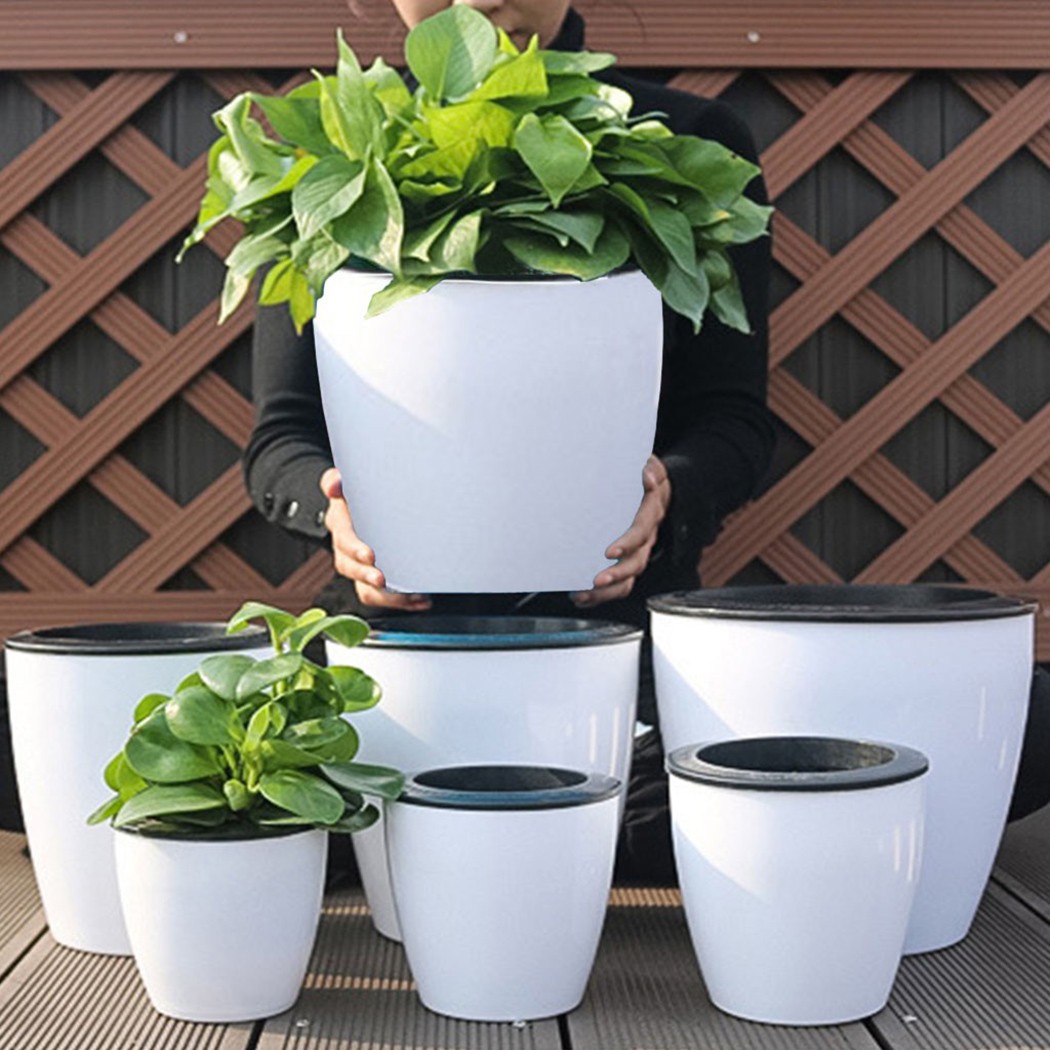 Горшок для цветов с автоматиче – обзор и цена Aloe Vera Pot