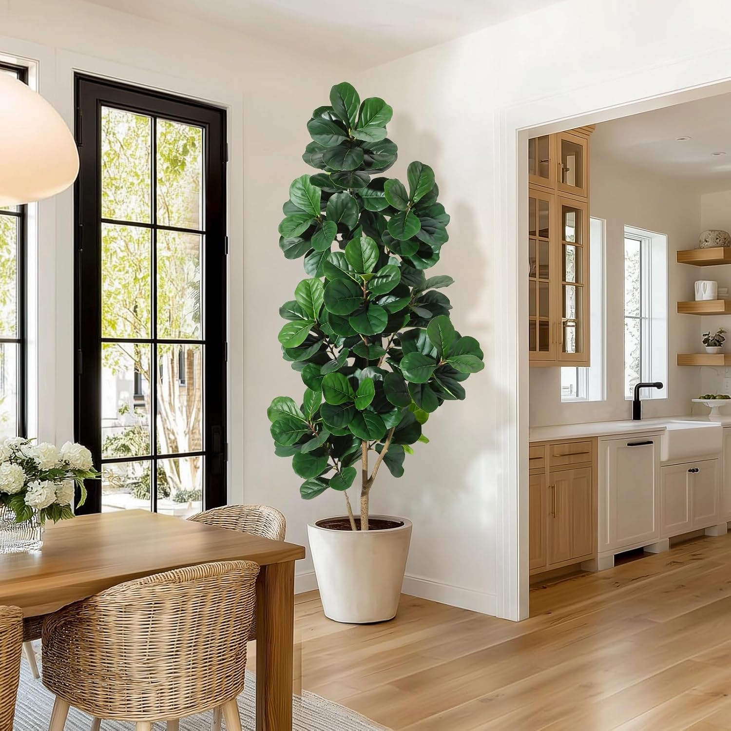 4 фута/5 футов/6 футов/7 футов – обзор и цена Ficus Lyrata Tree